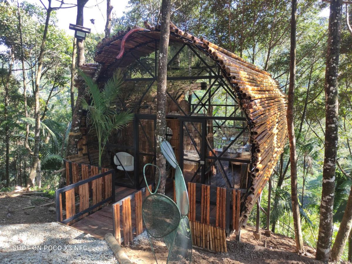 Hotel Glamping San Luis Nativa Zewnętrze zdjęcie
